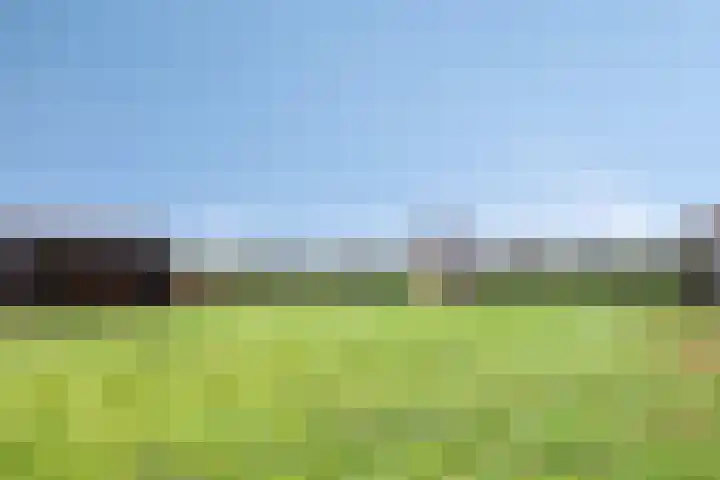 Moorveld 19 Liessel thumbnail 51
