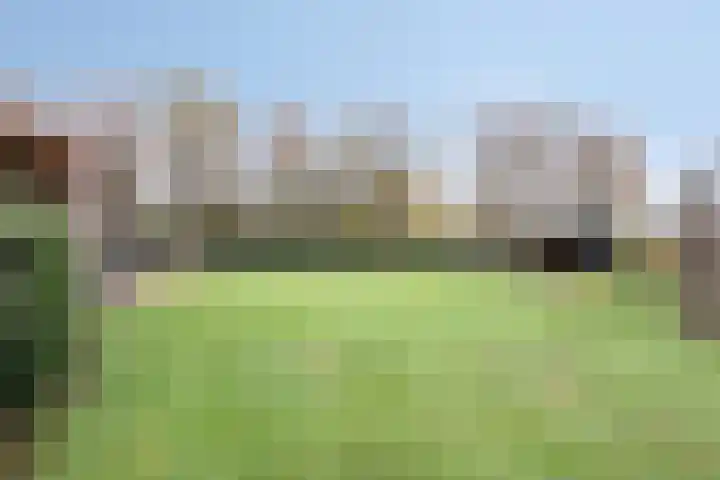 Moorveld 19 Liessel thumbnail 52