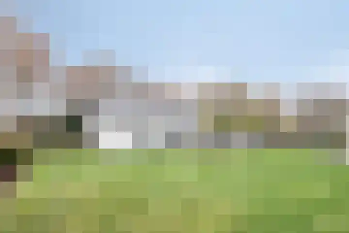 Moorveld 19 Liessel thumbnail 57