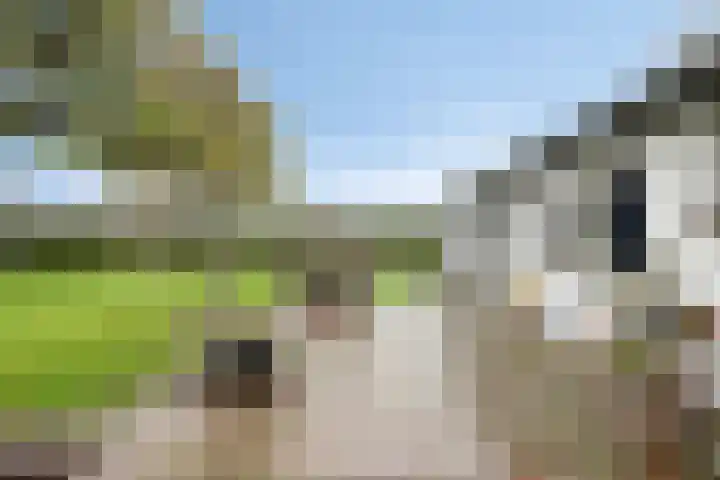 Moorveld 19 Liessel thumbnail 58