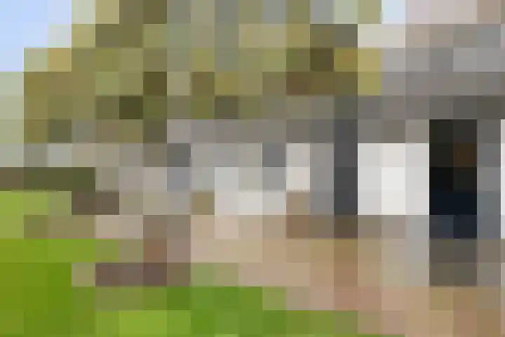Moorveld 19 Liessel thumbnail 59