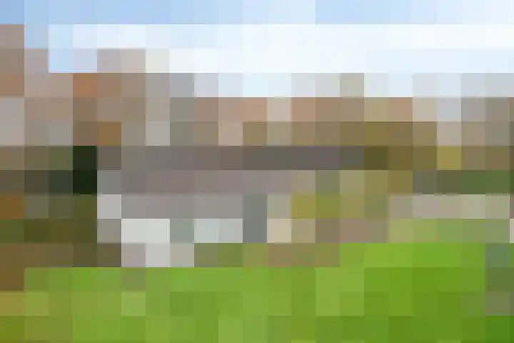 Moorveld 19 Liessel thumbnail 61