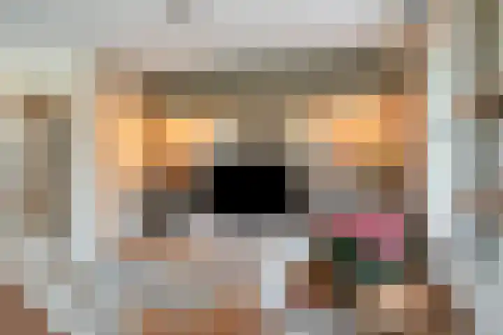Moorveld 19 Liessel thumbnail 9