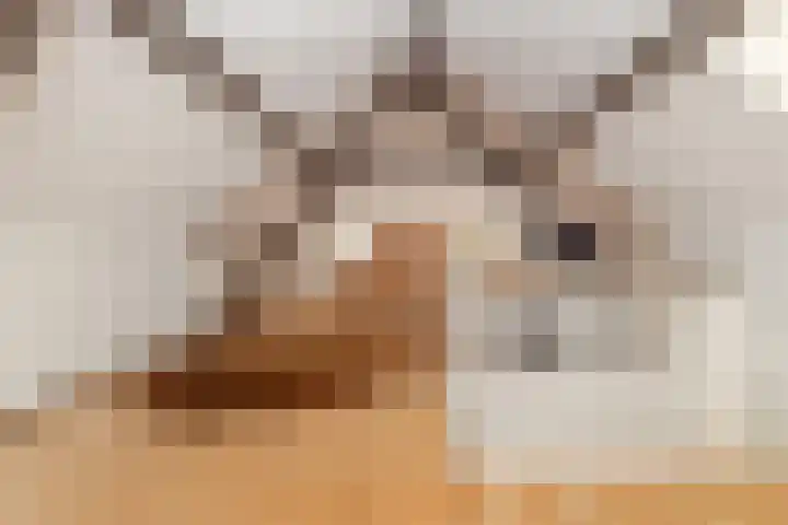Moorveldsberg 50 Geulle thumbnail 20