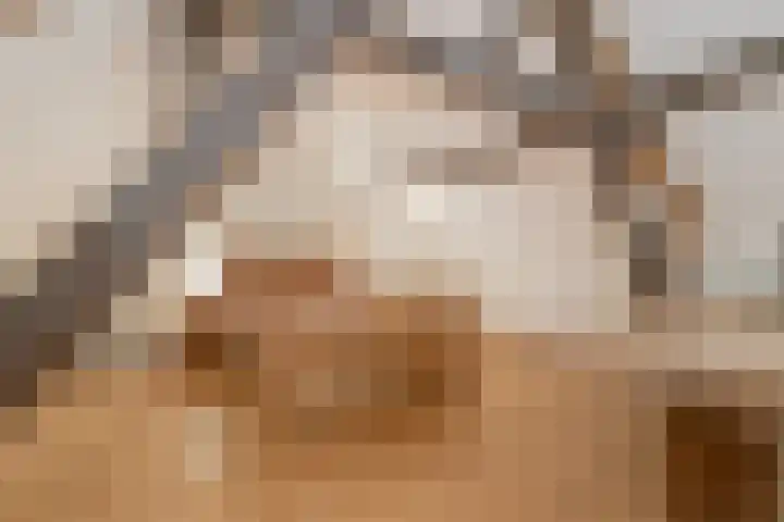 Moorveldsberg 50 Geulle thumbnail 21