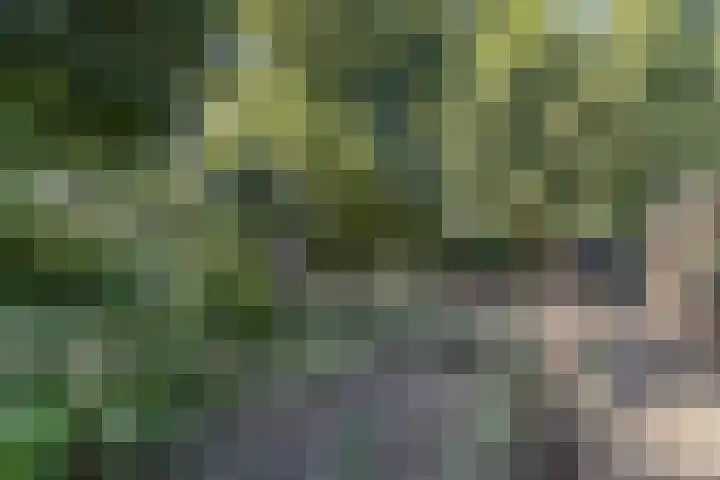 Moorveldsberg 50 Geulle thumbnail 29