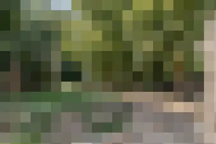 Moorveldsberg 50 Geulle thumbnail 30