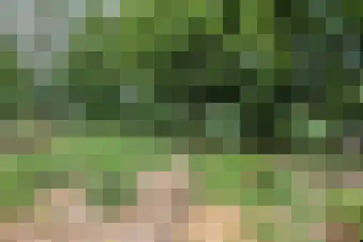 Moorveldsberg 50 Geulle thumbnail 31