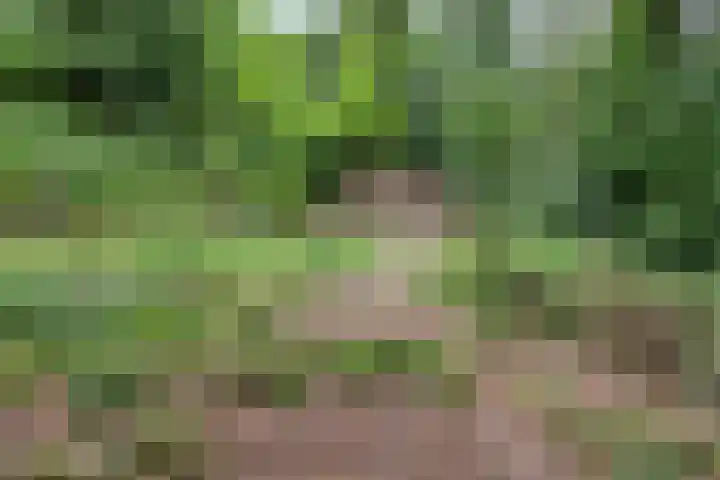 Moorveldsberg 50 Geulle thumbnail 32