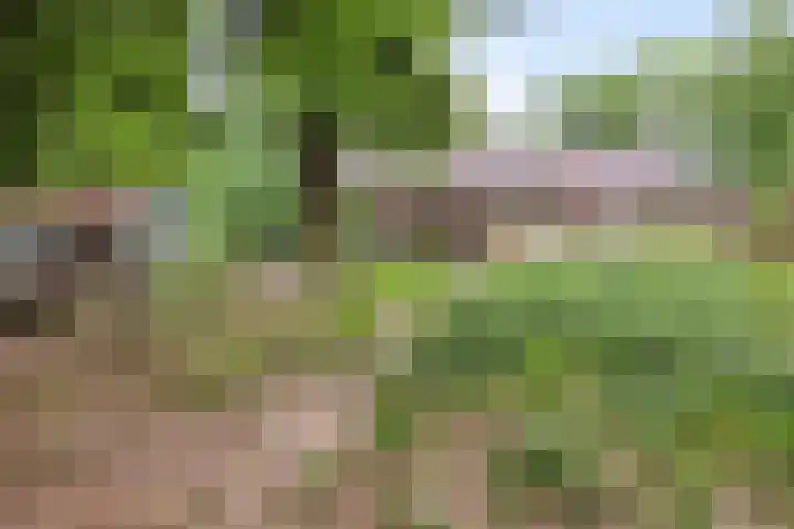 Moorveldsberg 50 Geulle thumbnail 33