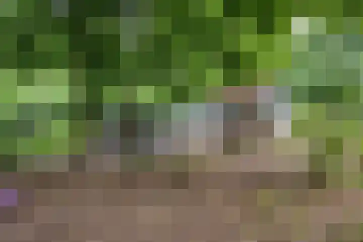 Moorveldsberg 50 Geulle thumbnail 34