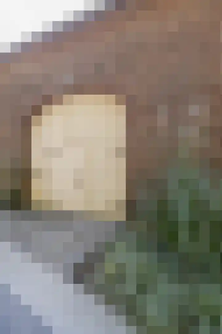 Moorveldsberg 50 Geulle thumbnail 4