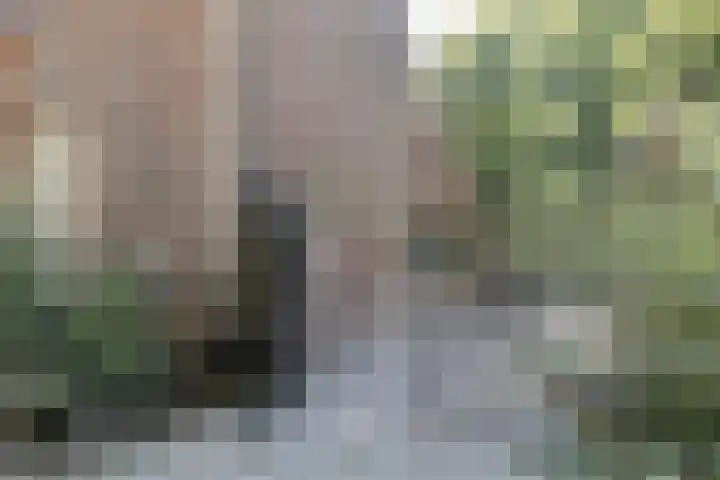 Moorveldsberg 50 Geulle thumbnail 5