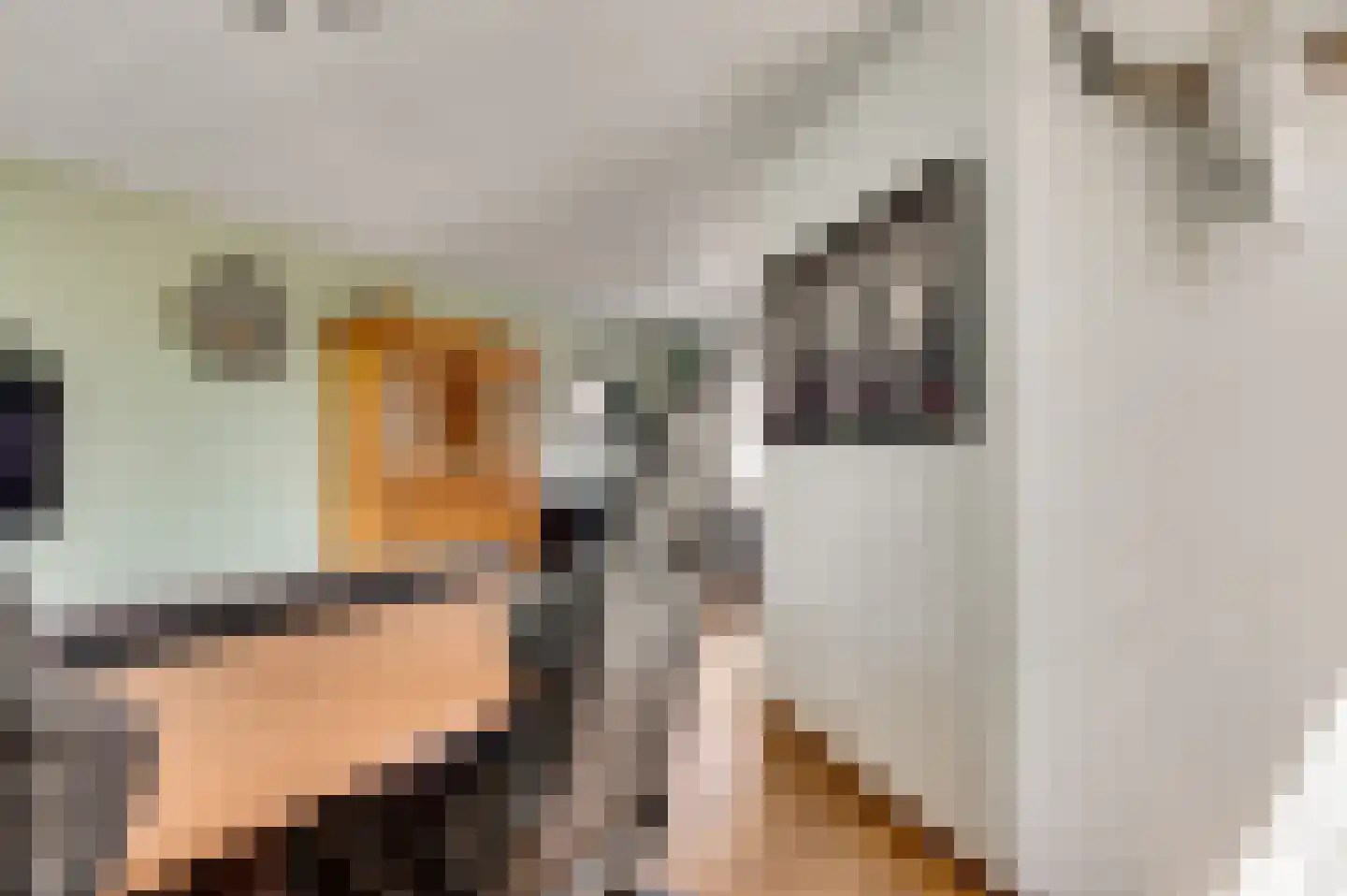 Moostdijk 2 Ospel thumbnail 10