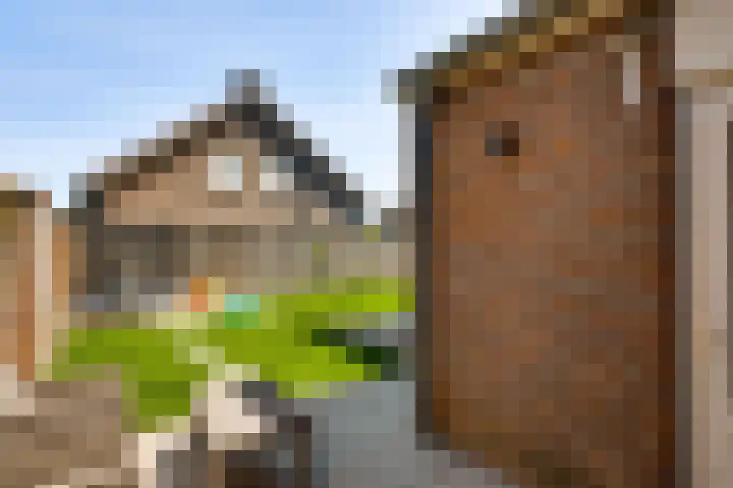 Moostdijk 2 Ospel thumbnail 26