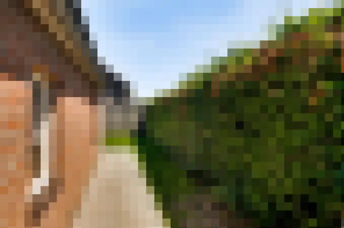 Moostdijk 2 Ospel thumbnail 29