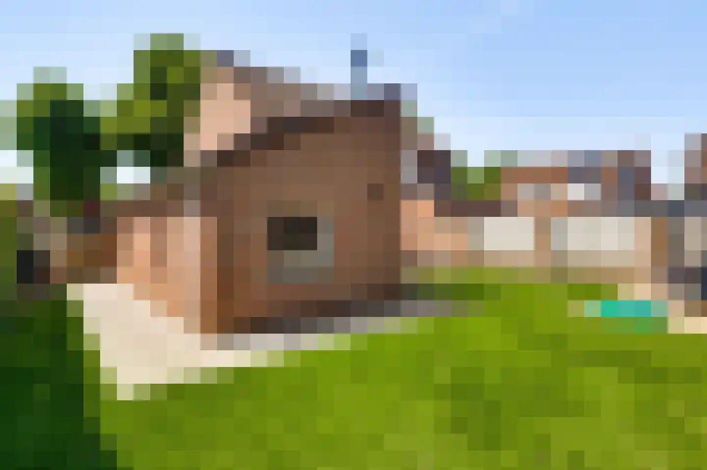 Moostdijk 2 Ospel foto 3