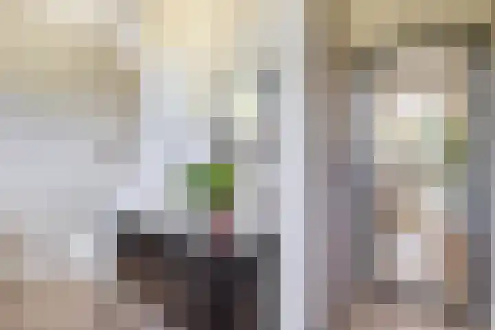 Moostdijk 3 Neerkant thumbnail 10