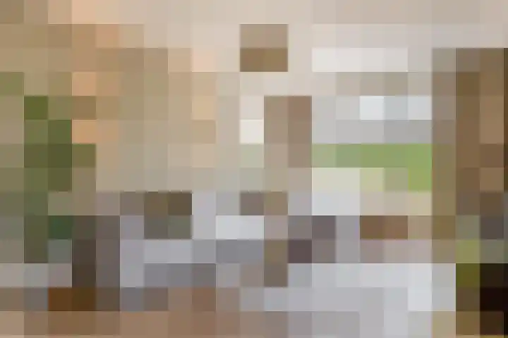 Moostdijk 3 Neerkant thumbnail 13