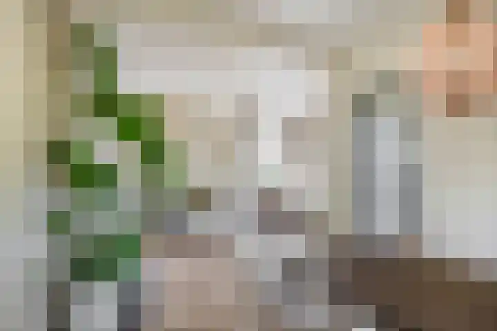 Moostdijk 3 Neerkant thumbnail 17