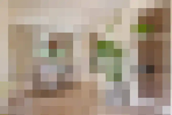 Moostdijk 3 Neerkant thumbnail 18