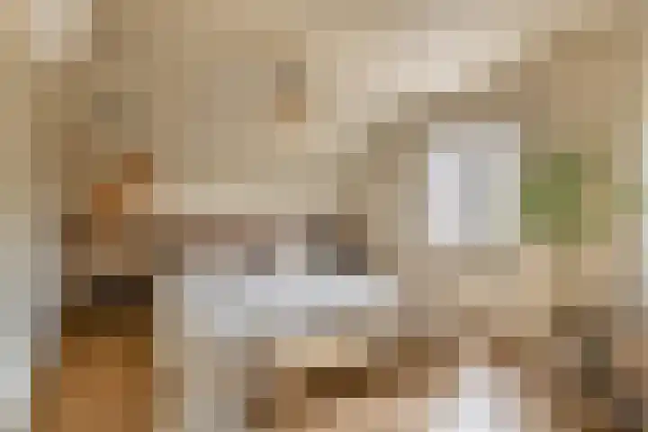 Moostdijk 3 Neerkant thumbnail 31