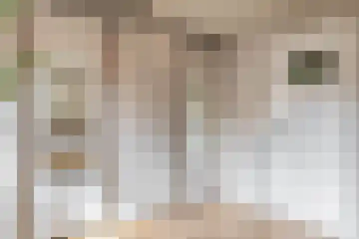 Moostdijk 3 Neerkant thumbnail 32