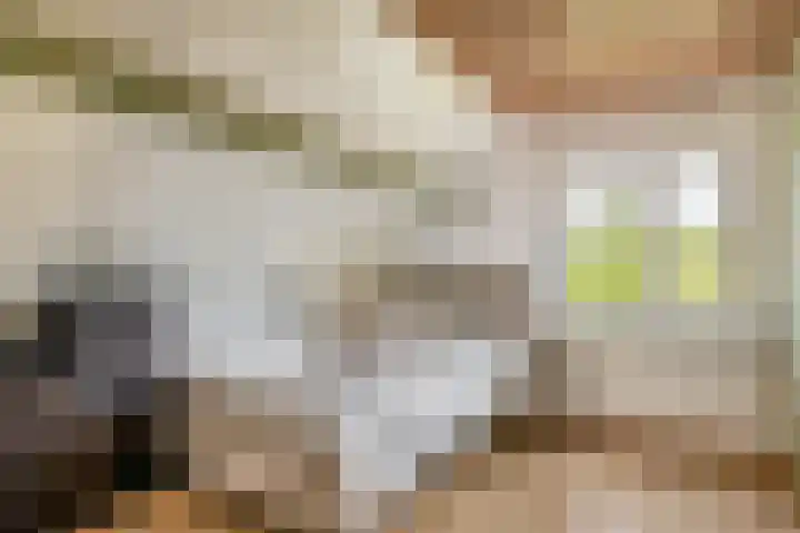 Moostdijk 3 Neerkant thumbnail 33