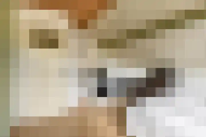 Moostdijk 3 Neerkant thumbnail 34