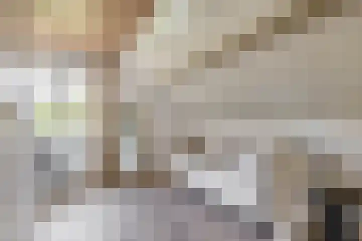 Moostdijk 3 Neerkant thumbnail 35