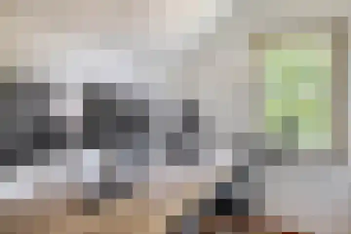 Moostdijk 3 Neerkant thumbnail 37