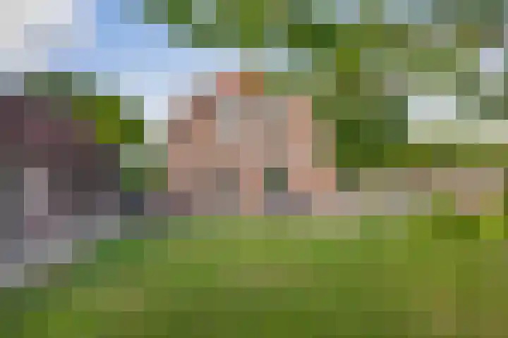 Moostdijk 3 Neerkant thumbnail 50
