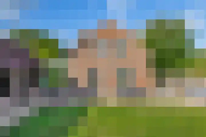 Moostdijk 3 Neerkant thumbnail 51