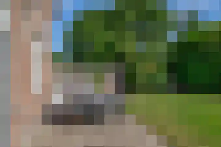 Moostdijk 3 Neerkant thumbnail 53