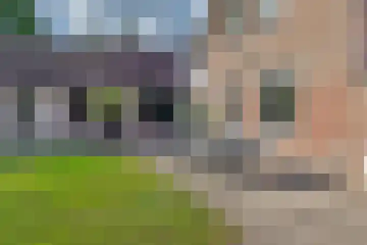 Moostdijk 3 Neerkant thumbnail 55