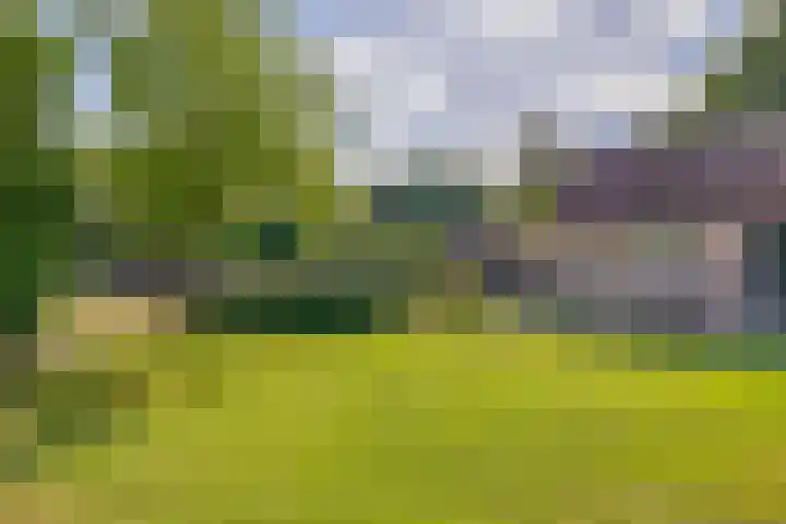 Moostdijk 3 Neerkant thumbnail 56
