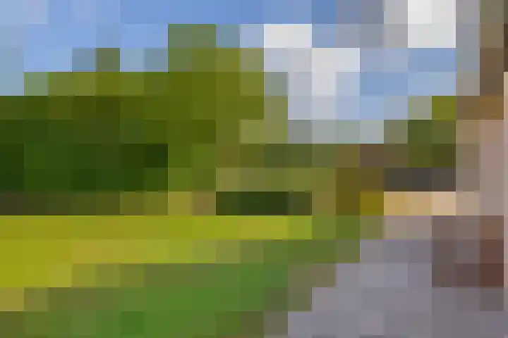 Moostdijk 3 Neerkant thumbnail 57