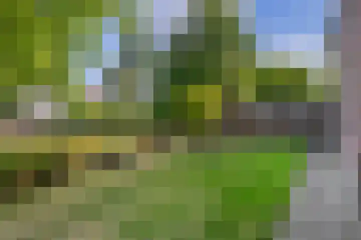 Moostdijk 3 Neerkant thumbnail 58
