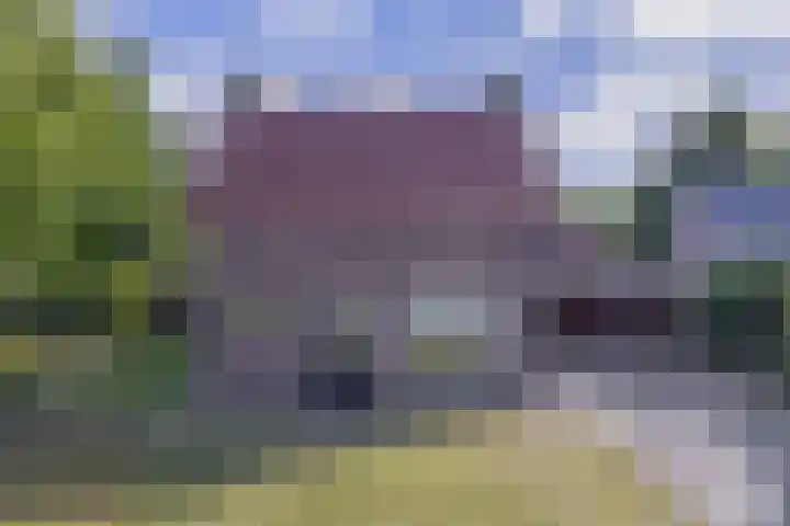 Moostdijk 3 Neerkant thumbnail 6