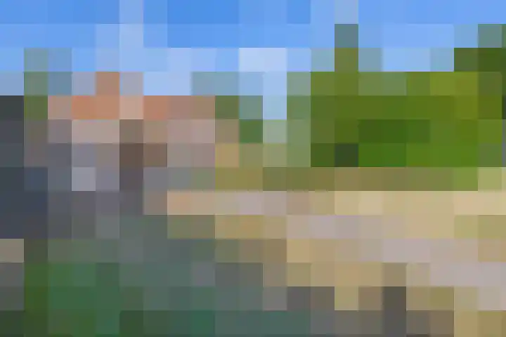Moostdijk 3 Neerkant thumbnail 60