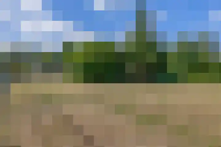 Moostdijk 3 Neerkant thumbnail 62