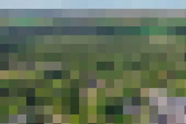 Moostdijk 3 Neerkant thumbnail 68