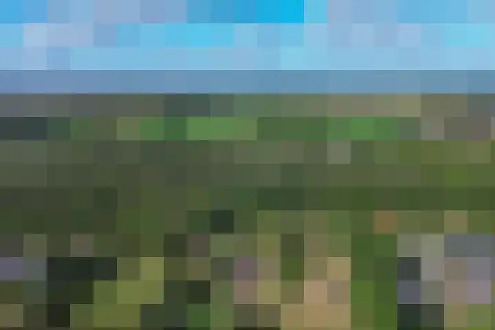 Moostdijk 3 Neerkant thumbnail 69