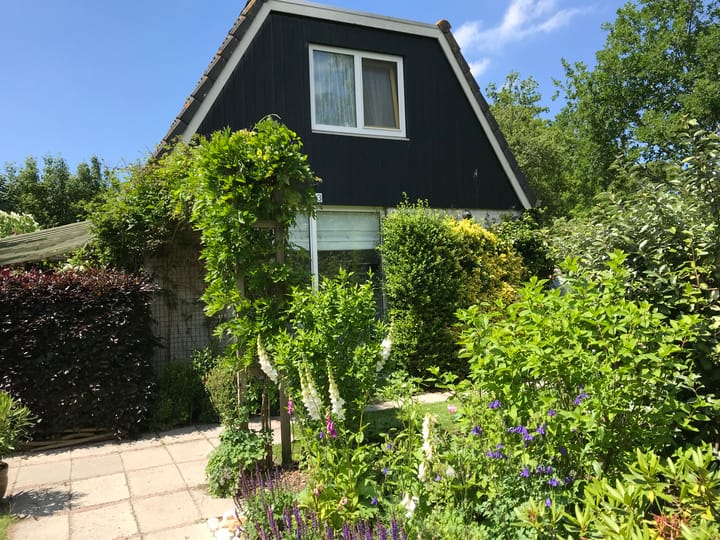 Mooyeveld 2-123 in Egmond-Binnen Foto