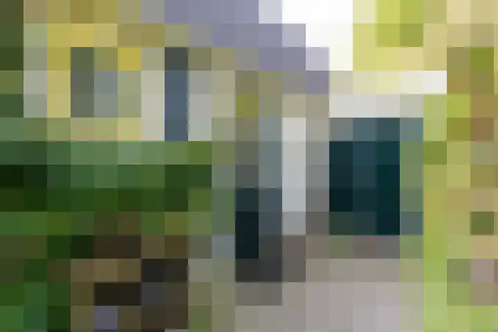 Mooyeveld 2 123 Egmond-Binnen thumbnail 19