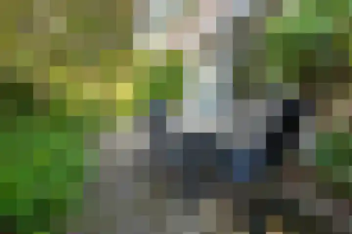 Mooyeveld 2 123 Egmond-Binnen thumbnail 21