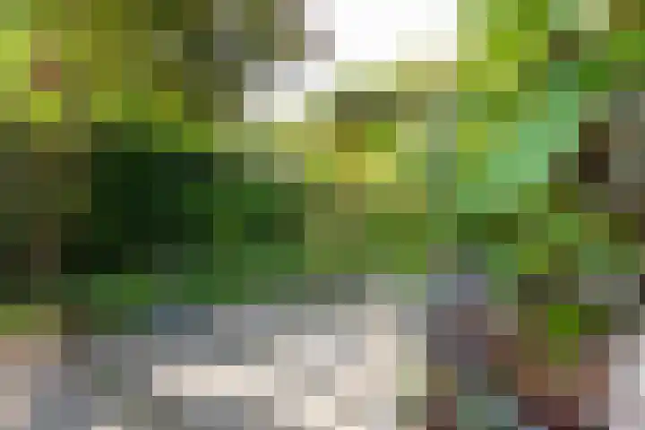 Mooyeveld 2 123 Egmond-Binnen thumbnail 22