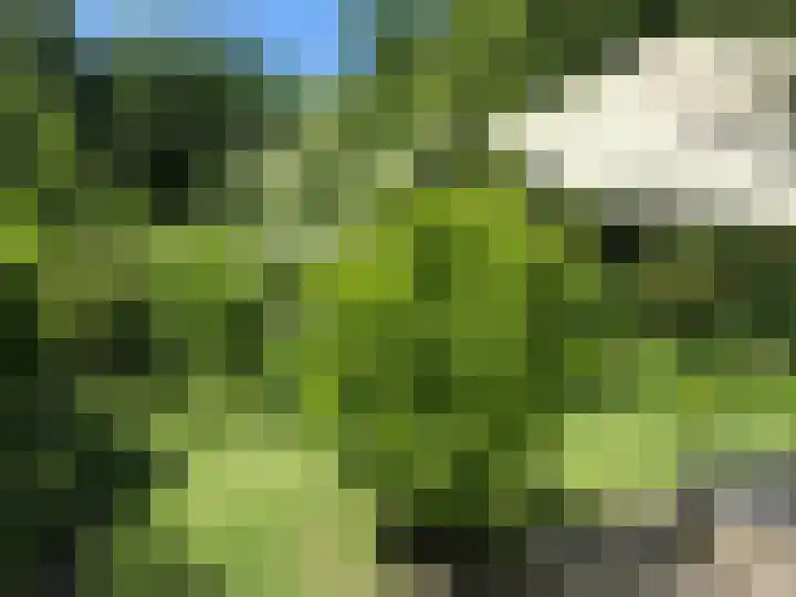 Mooyeveld 2 123 Egmond-Binnen thumbnail 23