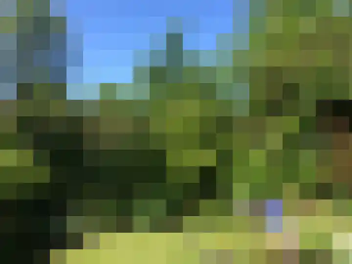 Mooyeveld 2 123 Egmond-Binnen thumbnail 24