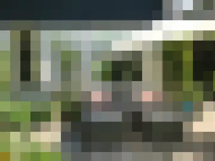 Mooyeveld 2 123 Egmond-Binnen thumbnail 25